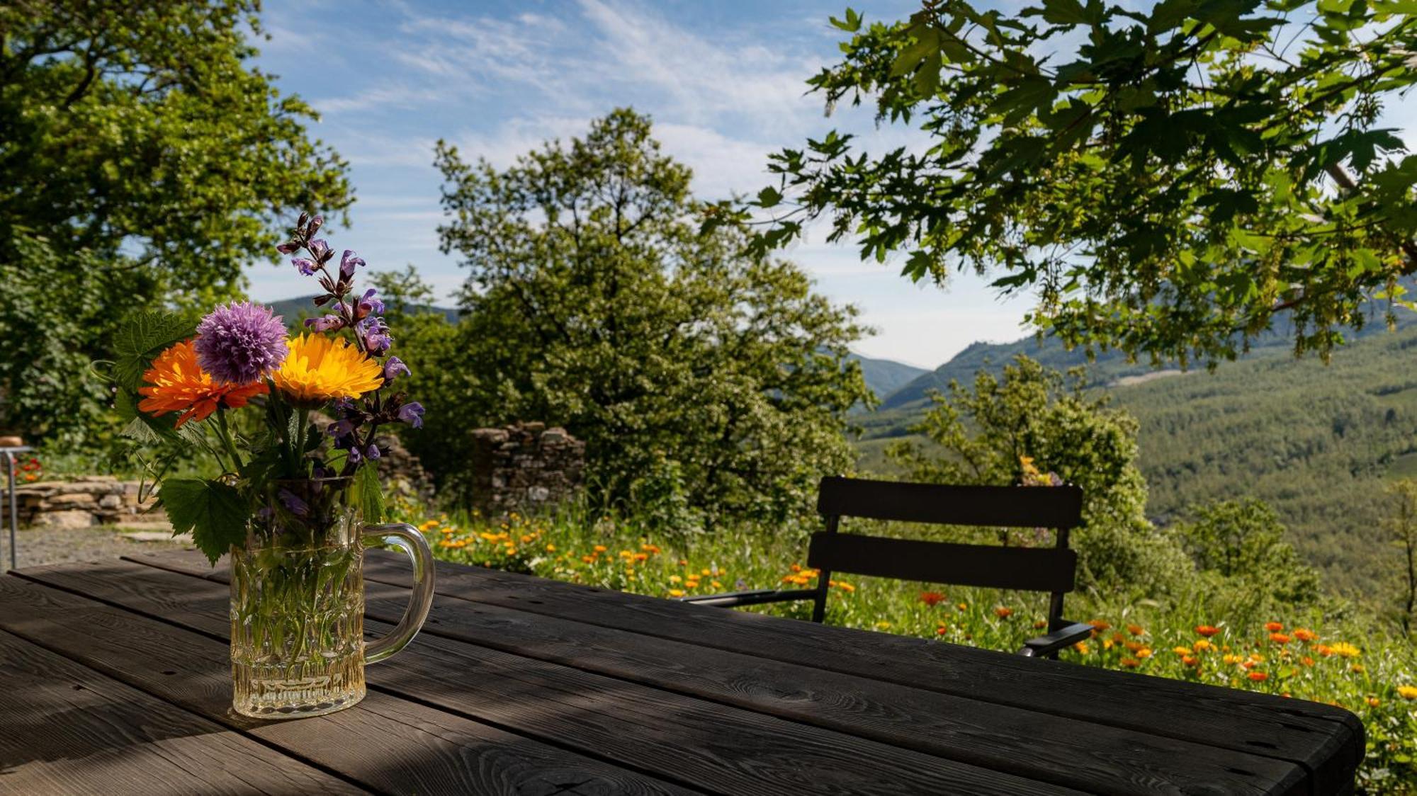 Le Spine B&B Sulla Via Francigena Berceto Eksteriør bilde