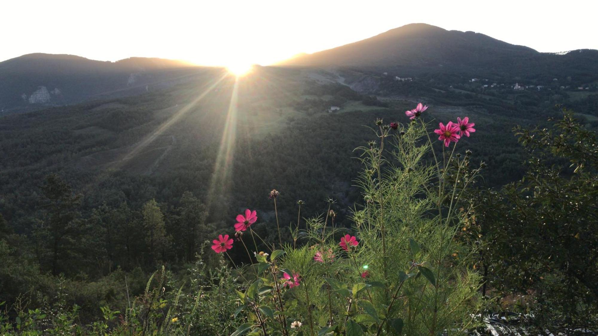 Le Spine B&B Sulla Via Francigena Berceto Eksteriør bilde